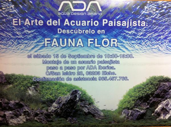 FaunaFlor1969's tweet photo. Recuerda próximo 15 de septiembre descubre el acuario paisajista en @FaunaFlor1969 @acuaristica @Avenlux  aforo limita http://t.co/gazvg1yC