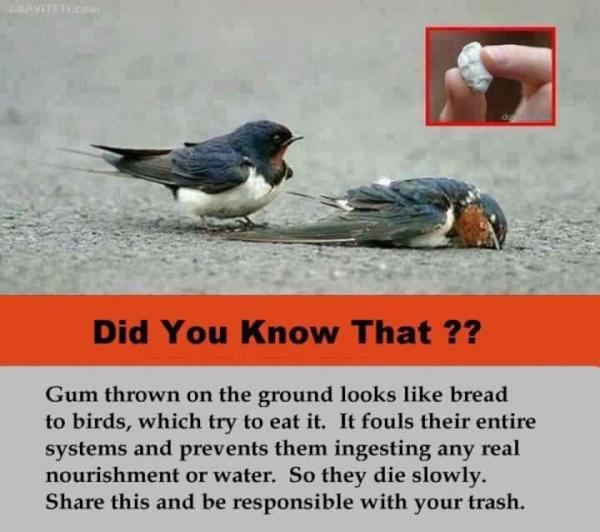 LynneFdF's tweet photo. Please put your chewing gum in a bin :( http://t.co/SeinsF1a