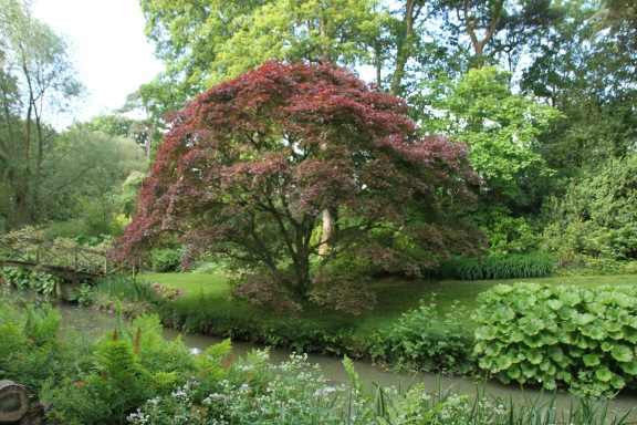 rareplants's tweet photo. Cottesbrooke the wild garden http://t.co/RBeMxtoq