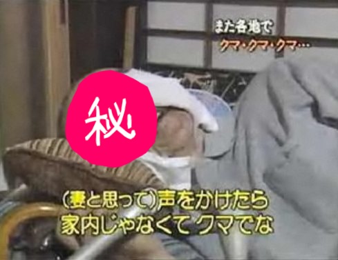 nishizero's tweet photo. しかしいっこうに眠くならんな・・・
ホンワカ画像でもツイートすっかな（笑）
不眠症なう。 http://t.co/e0q6rRTO