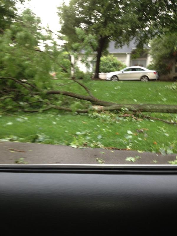 Duke4Top's tweet photo. Major storms hit us in Detroit. Tree down in the front yard. Thankfully no one was hurt. http://t.co/kUG99Leo