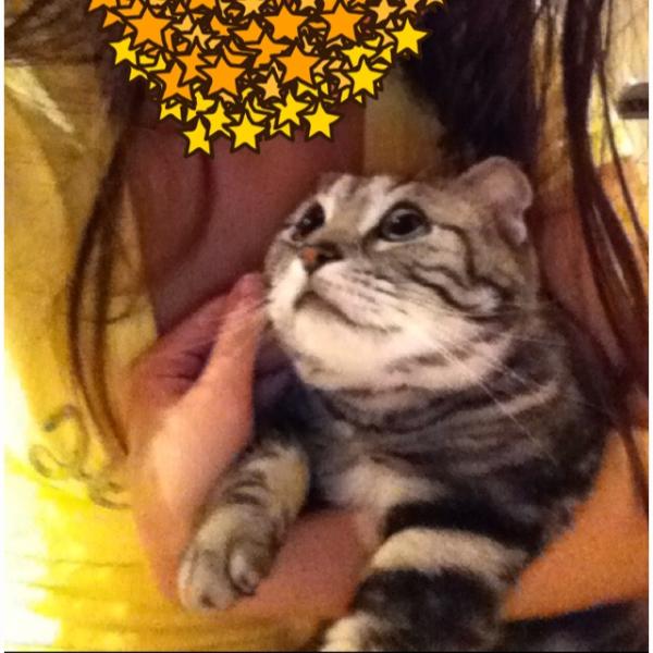 NormandieLin's tweet photo. 小寶貝<3 http://t.co/c5CpklXU http://t.co/cSbwcjxf
