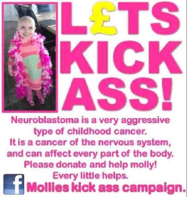 HelpMollie tweet picture