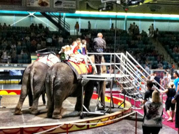 judyoke's tweet photo. Lily rides an elephant http://t.co/lcgjQs5i