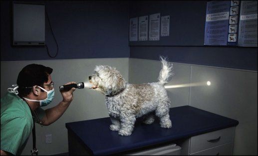 movementsystem's tweet photo. Lansley has a recent private dental consultation... http://t.co/edh644B0
