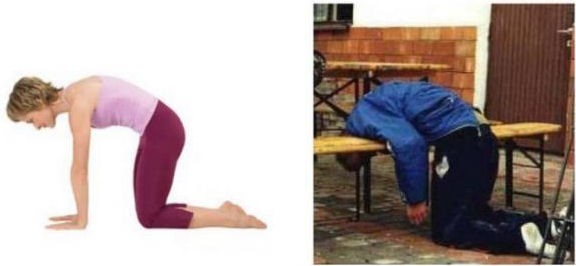 movementsystem's tweet photo. Yoga meets Special Brew... http://t.co/cuDXgyVn