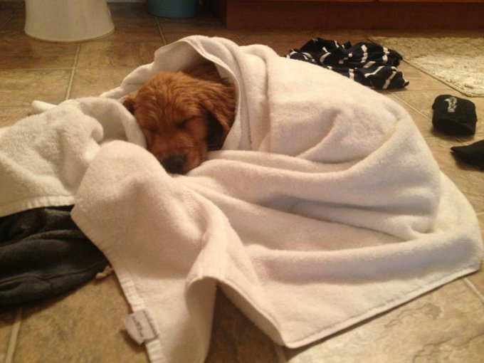 How fucking cute http://t.co/X2XS3kt8