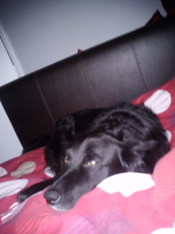 ConnorHumphrey's tweet image. @BenjaminFowler5 #littlewetton #4budsandhesout #forthecount #testthephrey #Myboysgotswaggaaaa