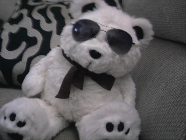 daniadababo1's tweet image. 