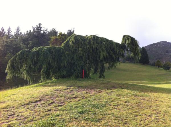 A qué se os parece??