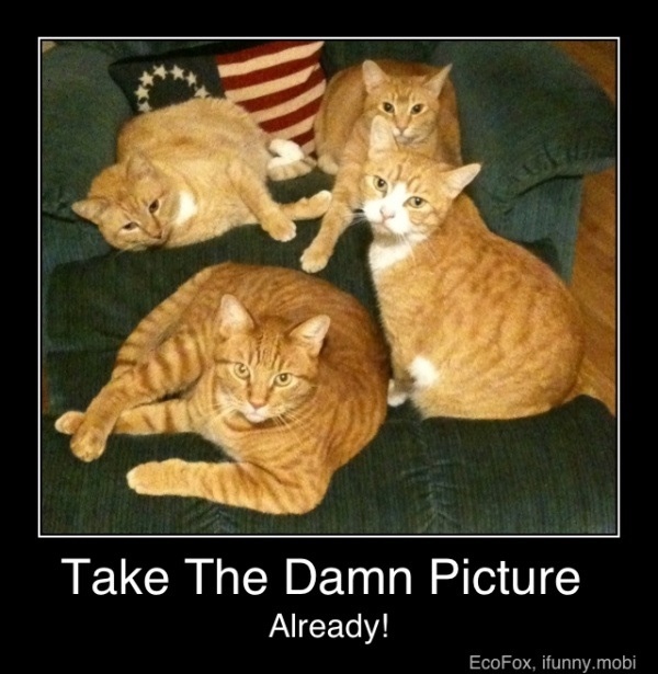 RealFratCat's tweet photo. @Jessewelle...like this- http://t.co/8ofY98vK