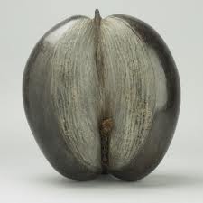 Tina_Teach's tweet photo. The largest seed in the world is the Coco de Mer, AKA the Love Nut. I'll have less of that sniggering!!! #seedrs http://t.co/awWXnY0B