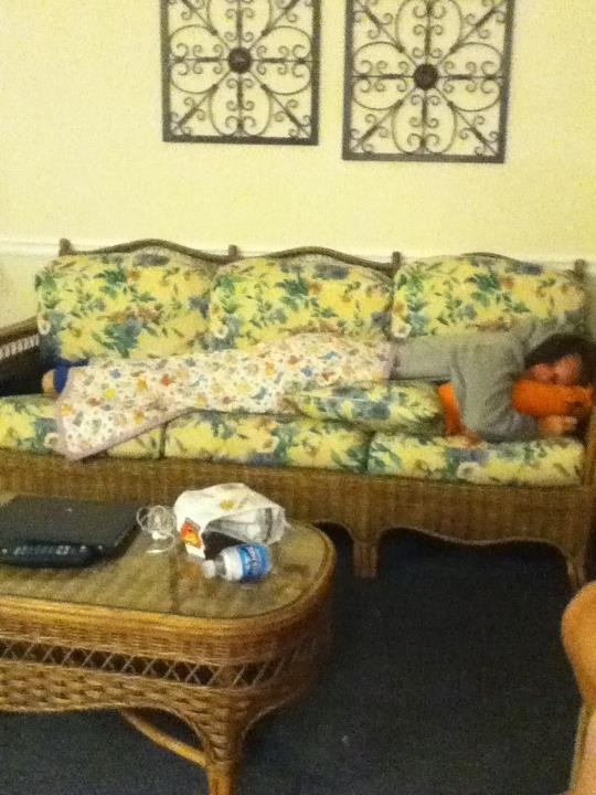 Crob_9's tweet image. Bonnie rocking the kitty cat blanket looking good even when faking asleep! #sortawow #superwow2012