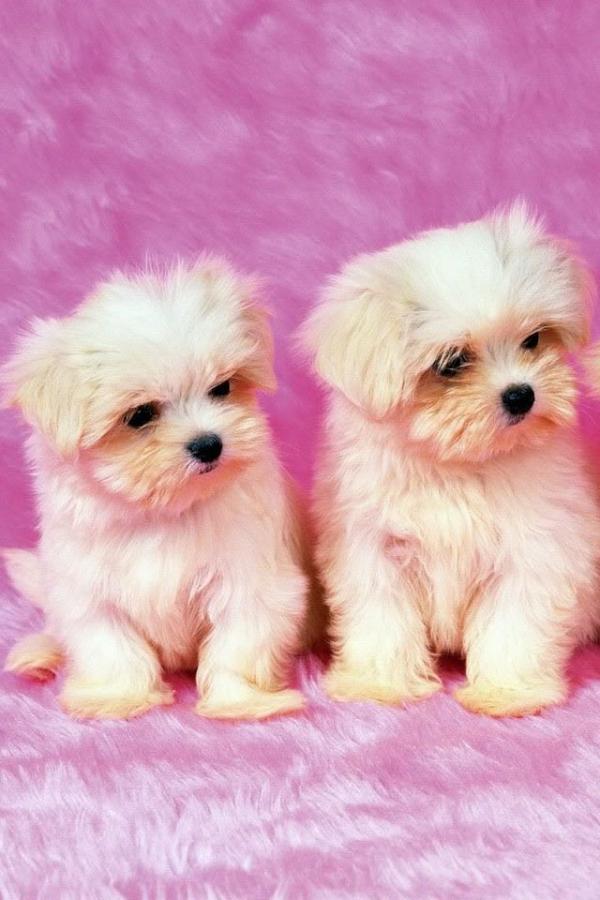 thatcutekid31's tweet photo. http://t.co/sRKoKJok