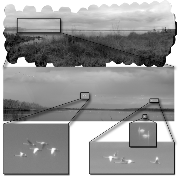 DARPA tweet picture