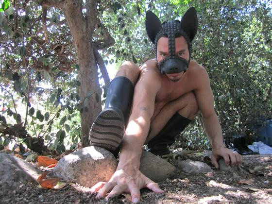Woof! Here's 1 from a shoot w/ <a href="/TheBackyardBoys/">The Backyard Boys</a> Sporting a #Rubberdawg #muzzle. More pix here: xtube.com/set.php?s=1Zbd…