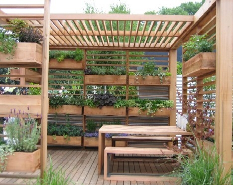 GrowVeg's tweet photo. Excellent example of vertical gardening, utilising wooden frames to provide as much room to grow as possible... http://t.co/OtcaDB9b
