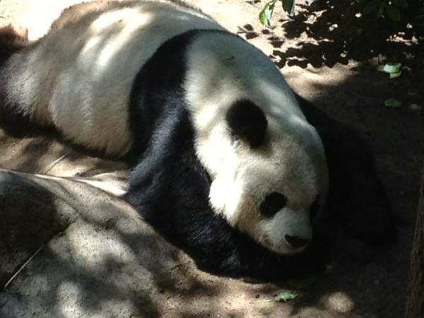 Richard DeShantz tweet media