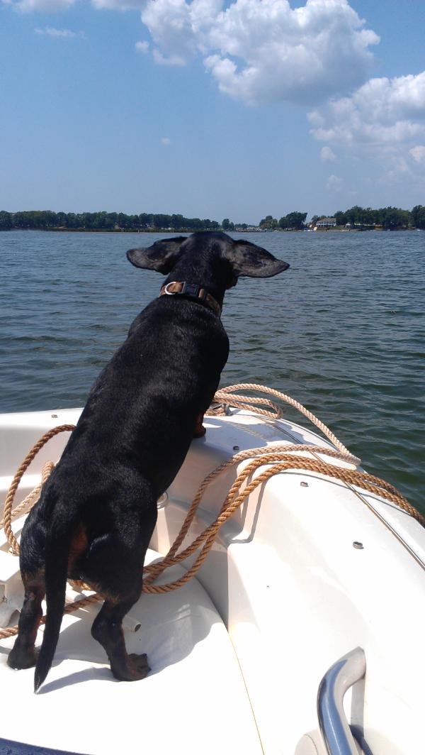 jgottfried's tweet photo. @TheEllenShow http://t.co/J32Q7Cjt