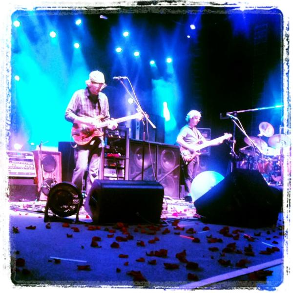 Phish_FTR's tweet photo. Roses for Roses: http://t.co/o5avvalo
