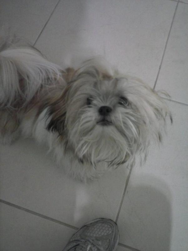 barbie_desa's tweet photo. Pupu http://t.co/hNELirQ2