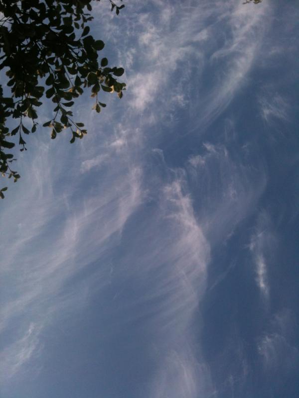 ViviaJB's tweet image. Been out lying on the trampoline for research - @metoffice could a sky like this also = windy (still at the moment)