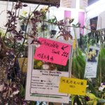 Photo by Singapore Garden Festival (@SGGardenFest)
