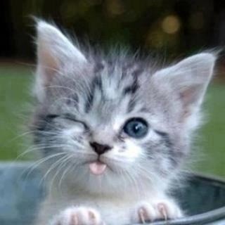 haneenrashed's tweet photo. http://t.co/gR9VtrEi