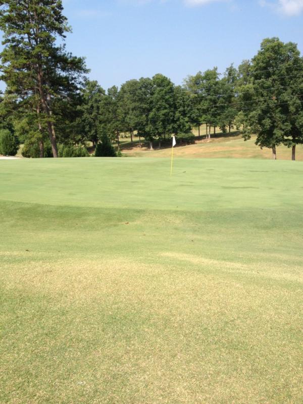 EricBowman_'s tweet image. Just chipped in from here #allskill haha