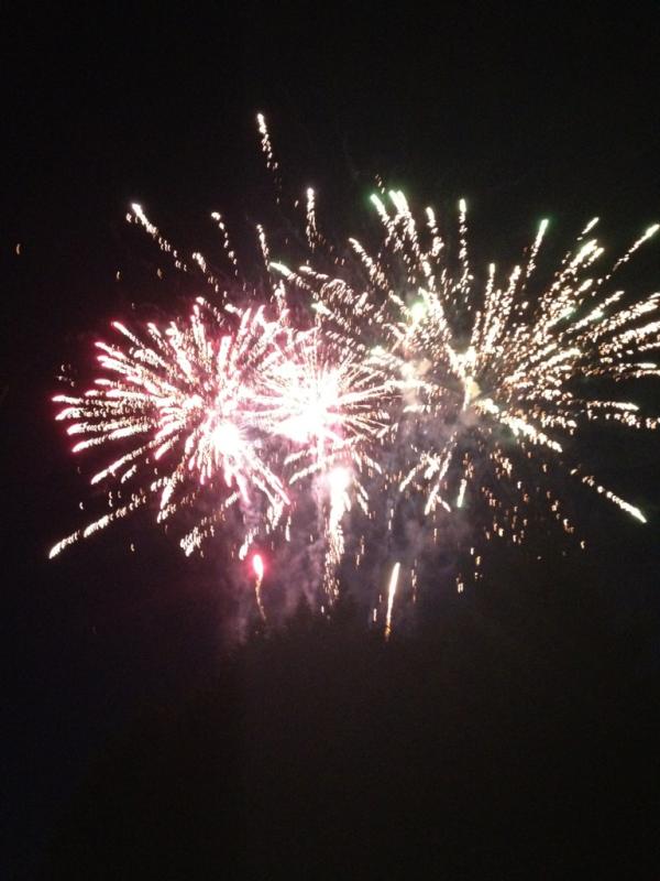 SenorDawes's tweet image. Our back garden has just been attacked by fireworks... Or at least it felt  that way!! #howclose