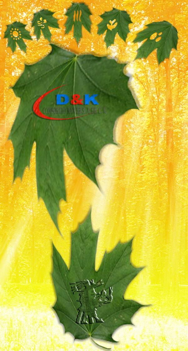 La mejor herencia que podemos dejarle a nuestros hijos es:
"Amor, Conocimiento, y un planeta en el que pueda vivir "