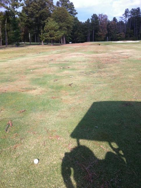 tydanaher's tweet image. 297 drive.. #longbread