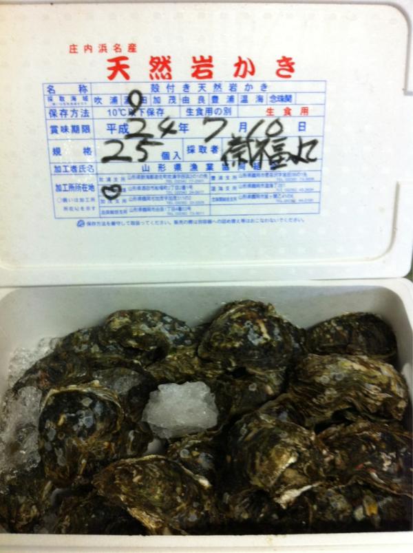 kouhou73's tweet photo. 庄内浜文化伝道師講座「うめぜ！庄内のごっつお教室」in天童中部公民館
本日使うイワガキはこちらです http://t.co/BavqftK1