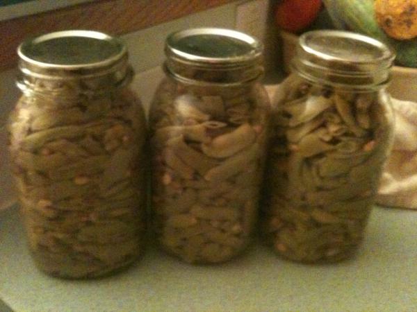 Organictivity tweet picture