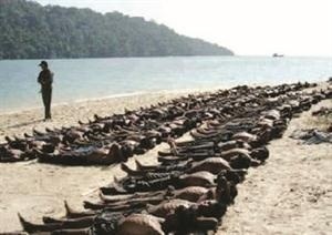 BurmaMuslims's tweet photo. @secgen
Mr Ban Ki-Moon
Can you comment on this photo?
#sosarakan
#HelpArakan
#SaveArakan
#Arakan http://t.co/ykvb6vSt
