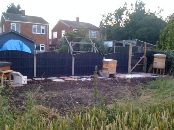 Cube3simon's tweet photo. Nuc from Fragile Planet installed all 3 hives doing well. http://t.co/pcVKEYFh