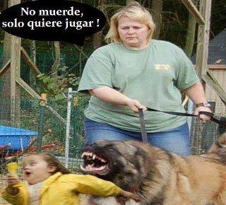 MemeMexico's tweet photo. El Perro no muerde. http://t.co/twQJasHc