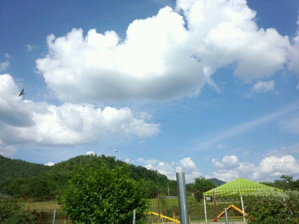 adogcojp's tweet photo. こんなに良い天気てした!(^^)!空と山に囲まれて、めっちゃ！のどかな良い所でしたー♪BBQも最高やった(^_^)V http://t.co/2SeUH3OO