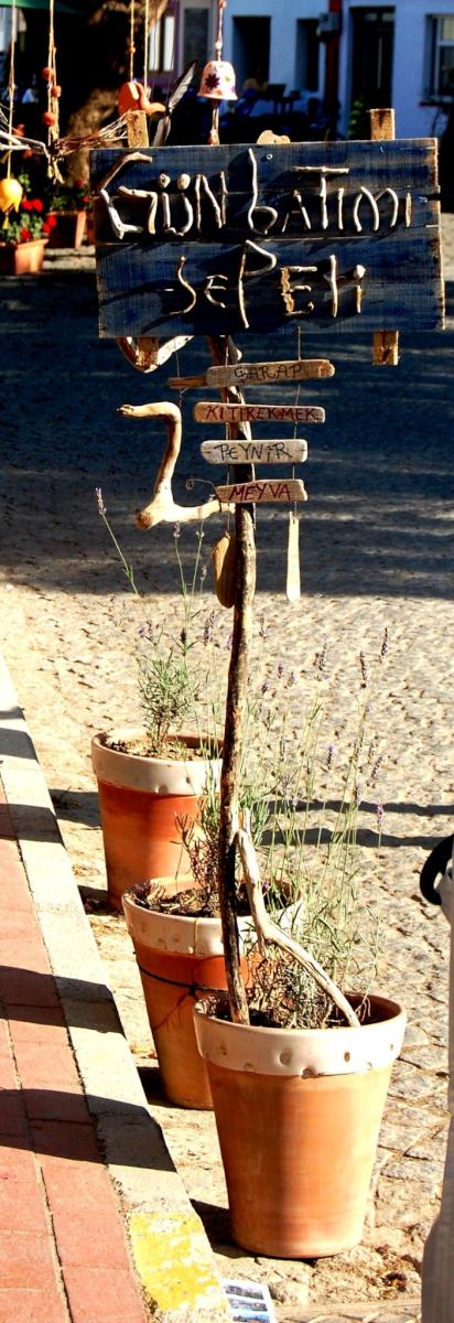 Callpilot's tweet image. #olsadayesek