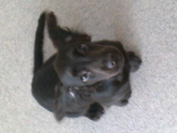 thestrays's tweet photo. http://t.co/h0Kj1qXN