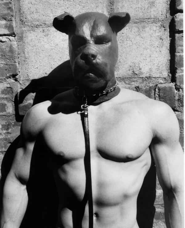 Boing! Here's a customer-submitted photo that has us begging for more. Woof! #hotdog #giveadogabone #Rubberdawg