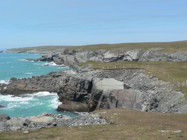 edgeofavalon's tweet photo. Be sure to call ahead and book your place on our Mistaken Point Tour :) Tours are everyday at 1PM http://t.co/G2wtqTAU
