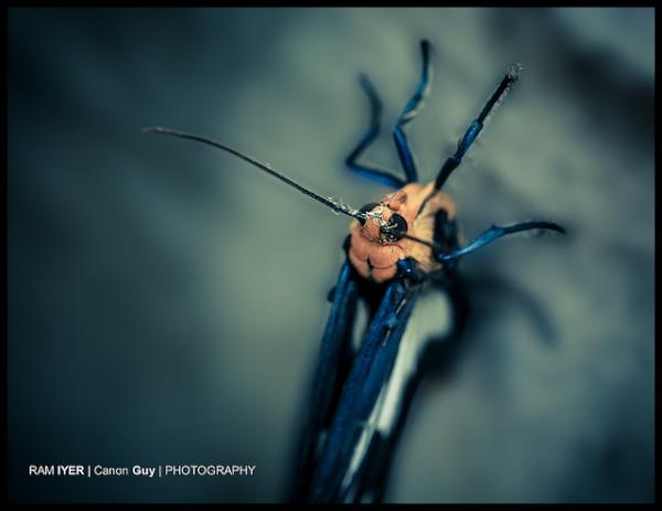 peekshurs's tweet photo. RT @pro4oto: Photography by The Canon Guy http://t.co/4rlOxiEj http://t.co/7kLZRt3j