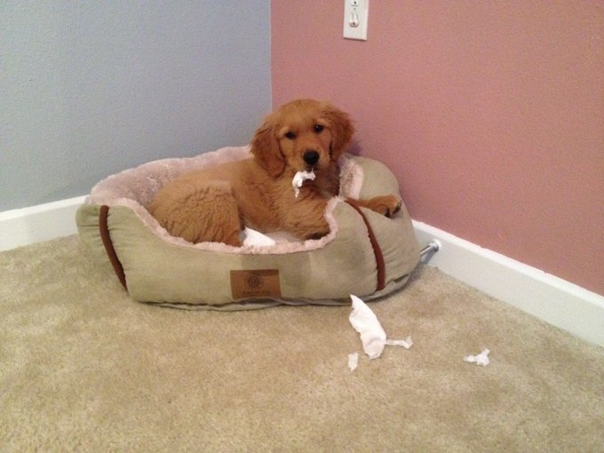 Some one found the toilet paper http://t.co/3FE9SqQm<a href="/tag/laconfidential"class="tags"><span>#laconfidential</span></a>