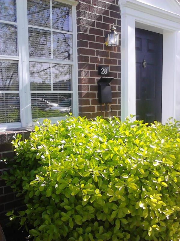 BTCeffectchange tweet picture