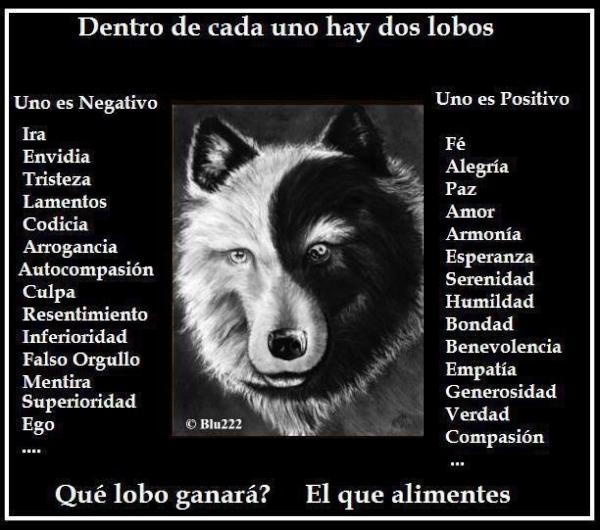 LinoArteaga's tweet photo. http://t.co/L0wDVfp7