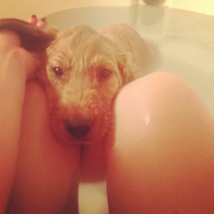 How cute is this http://t.co/KWkrfrQ5