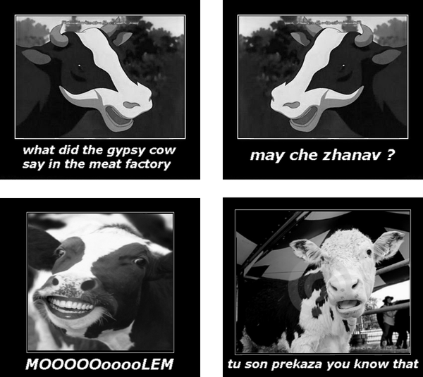 GypsyRageComic1's tweet photo. Gypsy Cows :D http://t.co/c5oYkE37