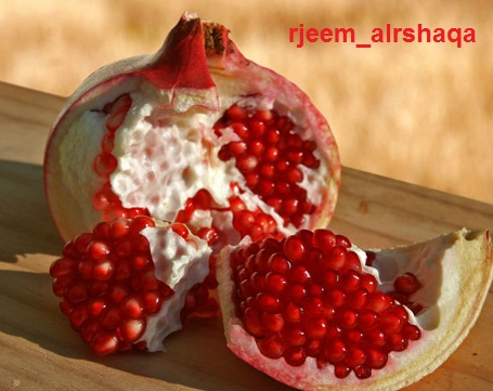 rjeem_alrshaqa tweet picture
