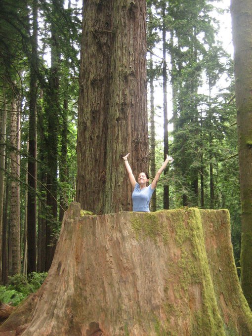 lovin nature at HSU Community Park.  #Redwoods #Humboldt #GoodVibes http://t.co/IWp252VM<a href="/tag/redwoods"class="tags">#Redwoods</a><a href="/tag/goodvibes"class="tags"><span>#goodvibes</span></a><a href="/tag/humboldt"class="tags"><span>#humboldt</span></a>